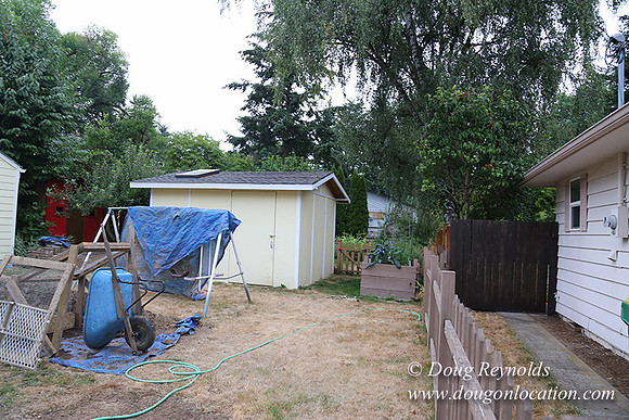 Nathan's Backyard-1751
