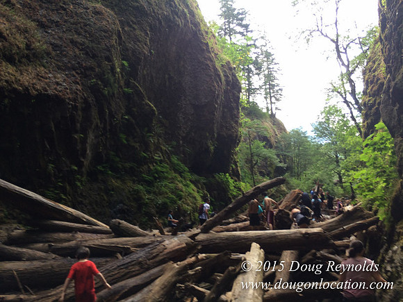 Oneonta Falls