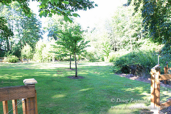 Traditional Style Home small farm with large kitchen great room, 2 story, 2 car garage on Acreage with large back yard, large front yard, garden, pond, deck, goats, bees, shop, PDX Zone