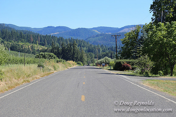 Thompson Rd Farm-8256