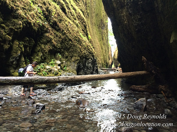 Oneonta Falls