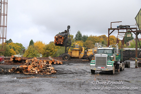 Saw Mill and Lumber Yard