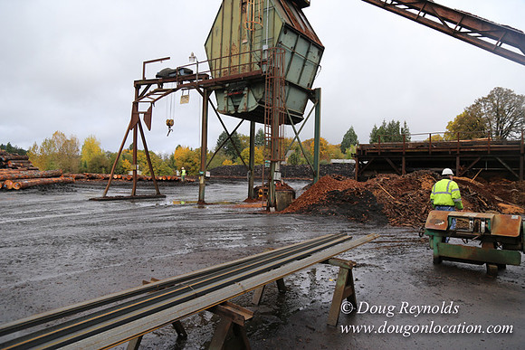 Saw Mill and Lumber Yard