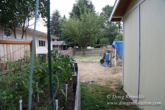 Nathan's Backyard-1742