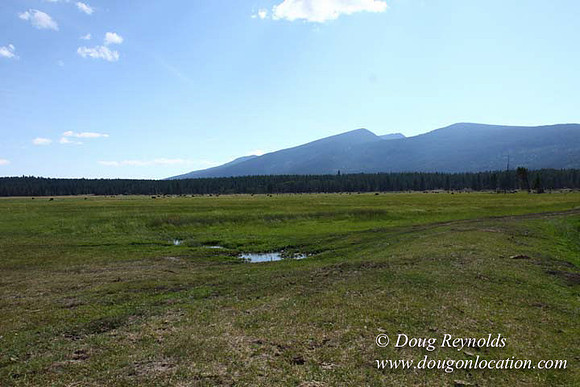 Ranch 18 South side of Hwy  has 2500 Acres of green fields Creeks water crossing Bridges on a Large Lake and miles of Dirt roads Oak trees  Forest land ATV Trails cows