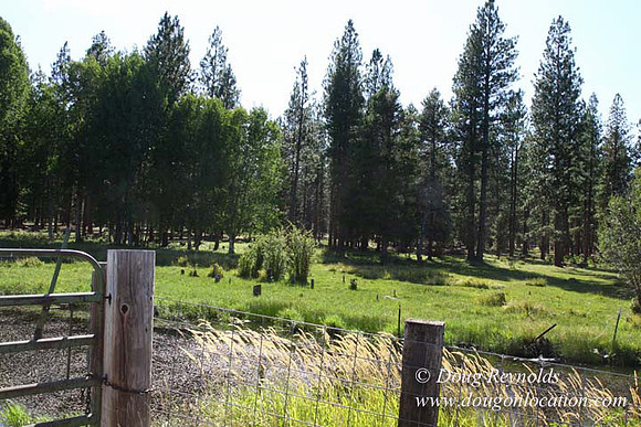 Ranch 18 South side of Hwy  has 2500 Acres of green fields Creeks water crossing Bridges on a Large Lake and miles of Dirt roads Oak trees  Forest land ATV Trails cows