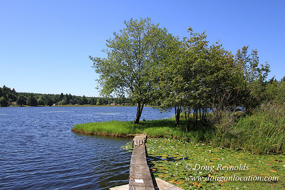 Richter Lake House-8399