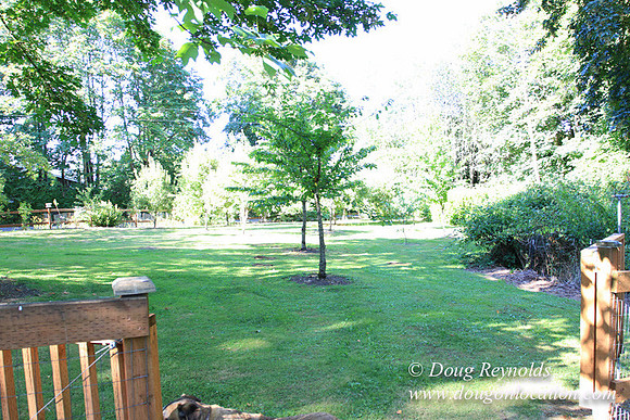 Traditional Style Home small farm with large kitchen great room, 2 story, 2 car garage on Acreage with large back yard, large front yard, garden, pond, deck, goats, bees, shop, PDX Zone