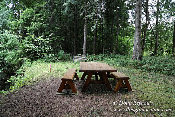 Cabin;  Home;  House; OR, Oregon Yard; deck; green. River,