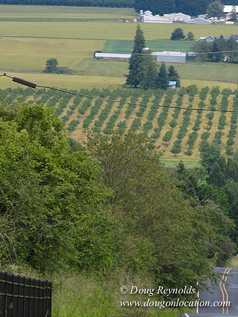 Laurel Hill Road 48515
