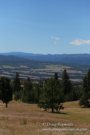 Brothers Ranch-8434