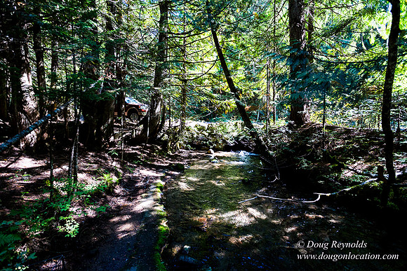 Karri's Cabin