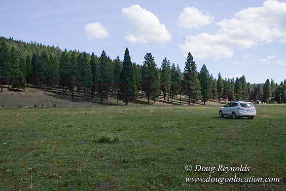 Ranch 18 South side of Hwy  has 2500 Acres of green fields Creeks water crossing Bridges on a Large Lake and miles of Dirt roads Oak trees  Forest land ATV Trails cows