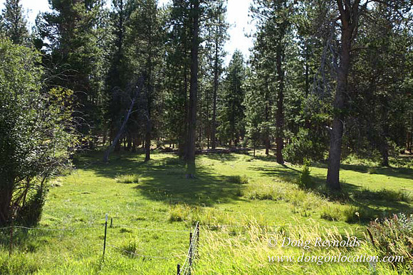 Ranch 18 South side of Hwy  has 2500 Acres of green fields Creeks water crossing Bridges on a Large Lake and miles of Dirt roads Oak trees  Forest land ATV Trails cows