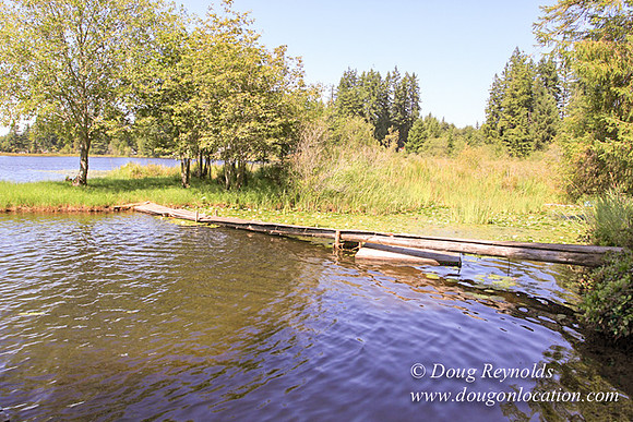 Richter Lake House-8365