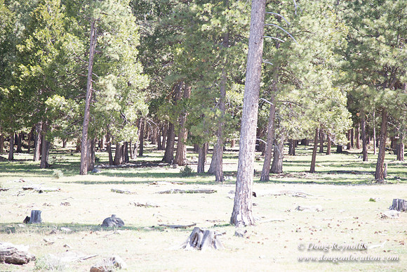 Ranch 18