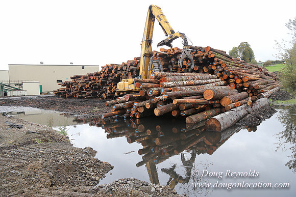 Saw Mill and Lumber Yard