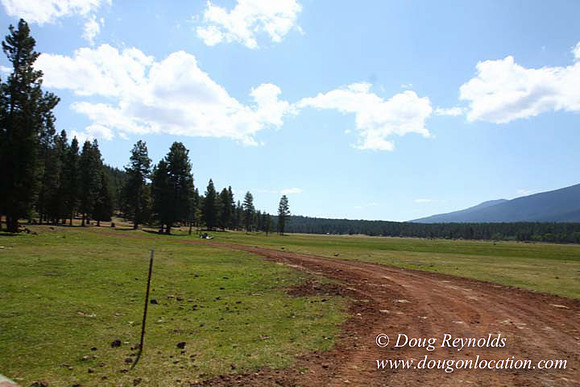 Ranch 18 South side of Hwy  has 2500 Acres of green fields Creeks water crossing Bridges on a Large Lake and miles of Dirt roads Oak trees  Forest land ATV Trails cows