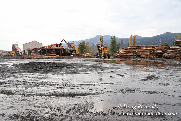 SDS Lumber-1343
