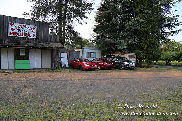 peggy's Produce-5098