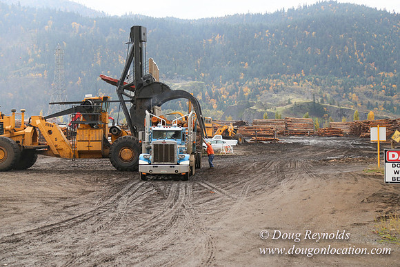 SDS Lumber-1285