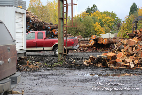 Saw Mill and Lumber Yard