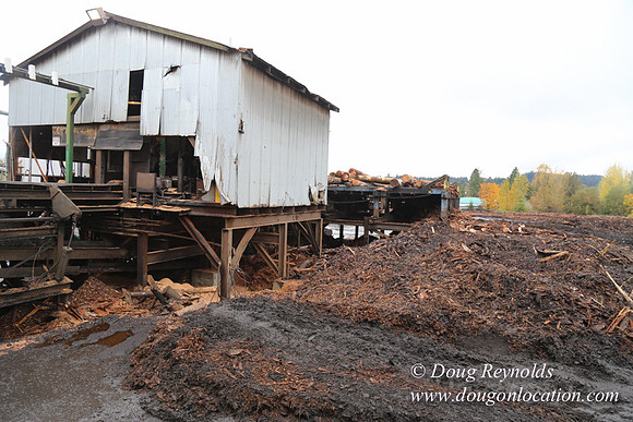 Saw Mill and Lumber Yard