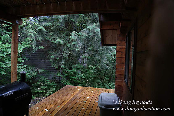 Gary's Cabin-7572