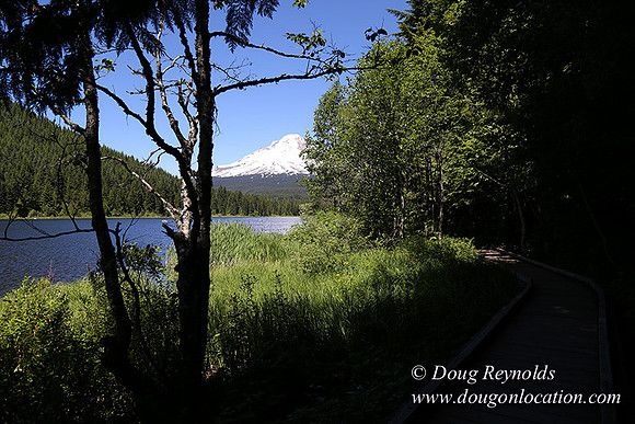 Trillium Lake-32003556