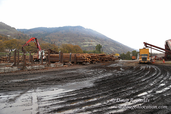 SDS Lumber-1388