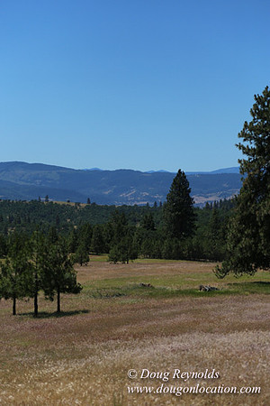 Brothers Ranch-8439