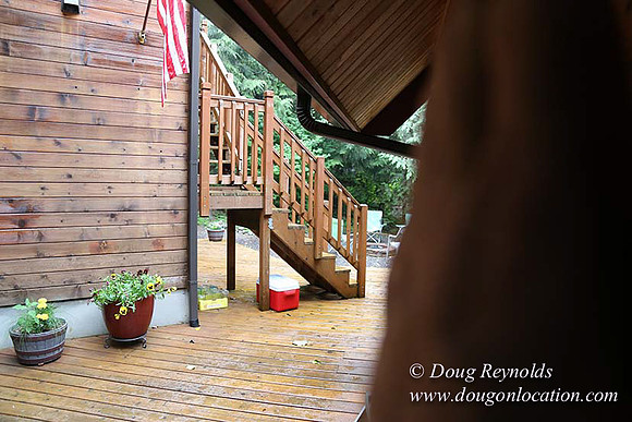 Gary's Cabin-7596