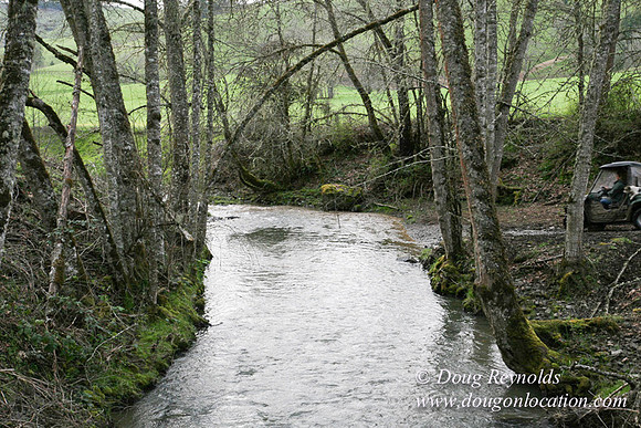 Ranch 14 has 7500 Acres of rolling green hills barns Creeks water crossing Bridges and miles of Dirt roads Oak trees Cabins Forest land