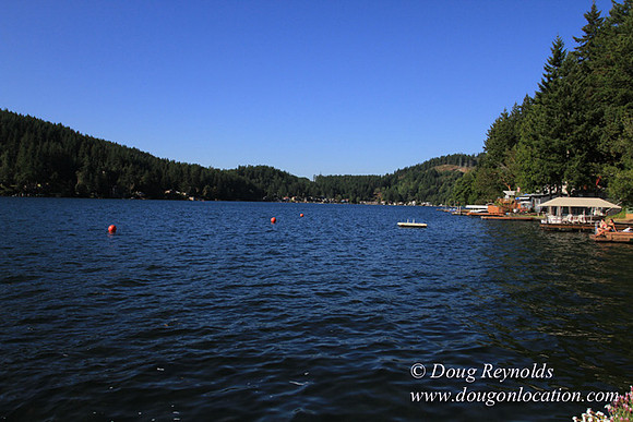 Boat, Cabin, Dock, Home, "Lake House", Ramp, Scotts, WA, Washington, Yard, deck, "green. Beach"