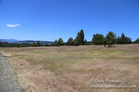 Brothers Ranch-8451