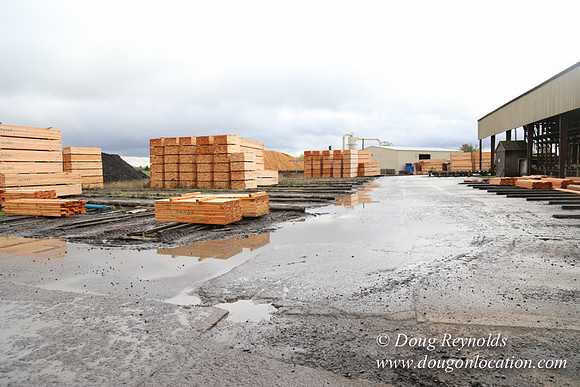 Saw Mill and Lumber Yard