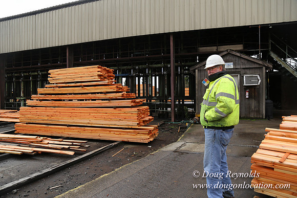 Saw Mill and Lumber Yard