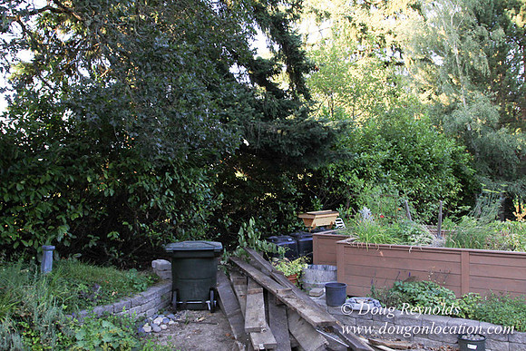 Large Traditional 70’s Style Home, 2 story, 3 car garage on Large Lot with Bees