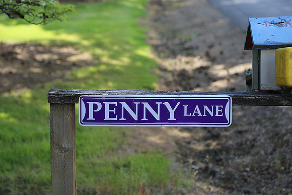 Dale's Penny Ln-5000
