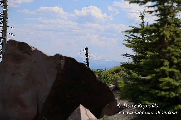 Timberline East rock-6802