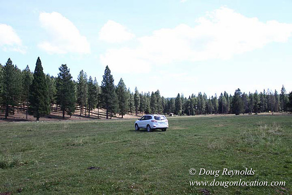 Ranch 18 South side of Hwy  has 2500 Acres of green fields Creeks water crossing Bridges on a Large Lake and miles of Dirt roads Oak trees  Forest land ATV Trails cows