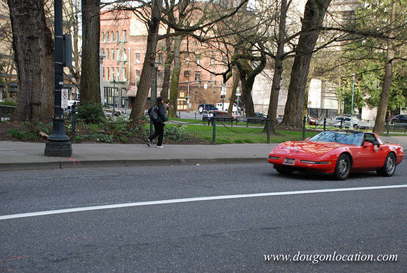 Chapman Square-0464