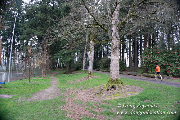 Sellwood Park-2330