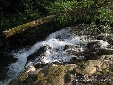 Cedar Camp Falls Bridge