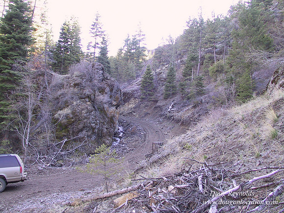 Ranch 7