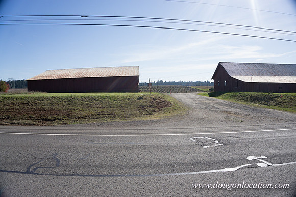 Hwy 211 Sandy-3571