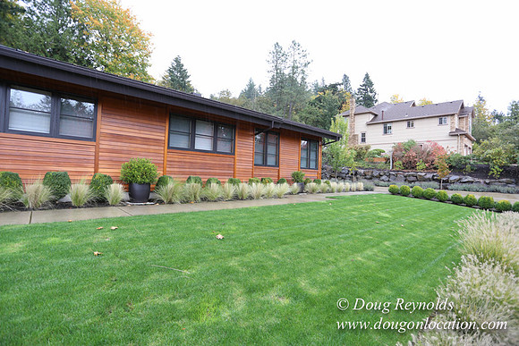Kathy's House-0386