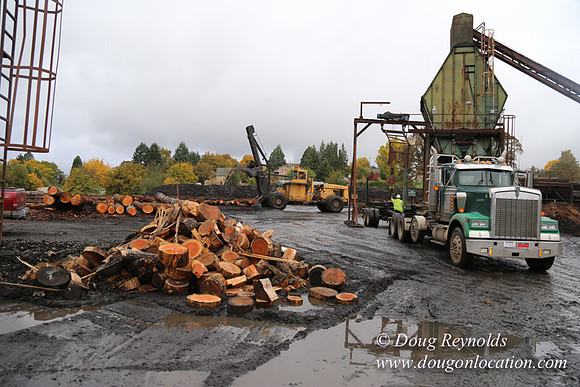 Saw Mill and Lumber Yard