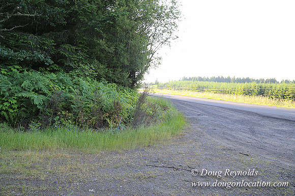 Oak Ridge Rd 2-7137