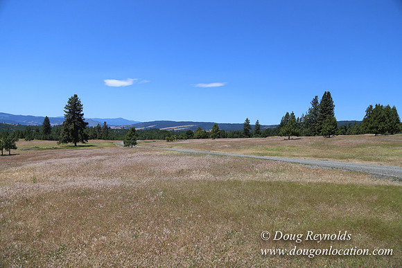 Brothers Ranch-8418